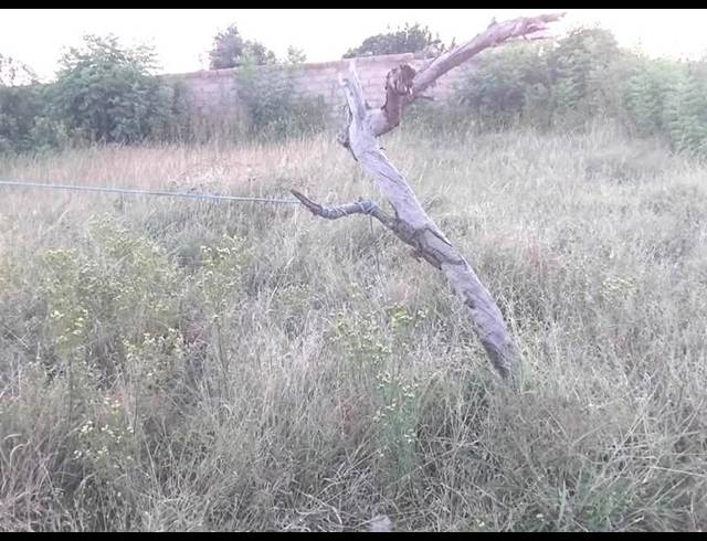 LAND FOR SALE IN MANKWENG